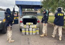 PRF flagra carro de Videira com quase 100 kg de maconha