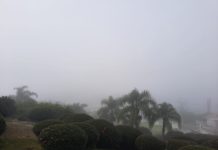 Nevoeiro e baixas temperaturas devem dar lugar ao sol