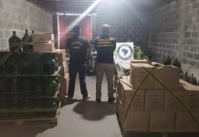 Operação apreende 41 mil litros de vinho fraudado em SC; prejuízo chega a R$ 478 mil