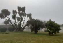 Semana inicia com nevoeiros e deve ter sol com aumento de nuvens