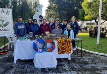 Sucesso total na segunda edição do RBVerde