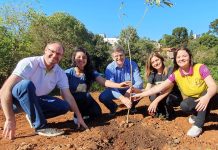 Ação RBVerde alcança números expressivos na 2ª edição