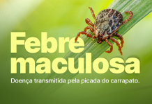 Casos de febre maculosa são confirmados em SC