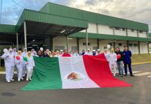 Master Alimentos inicia exportação de carne suína para o México
