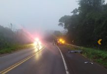 Pedestre é atropelado e morre na BR-153