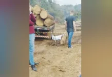 Homem morre em acidente de trabalho no interior de Tangará