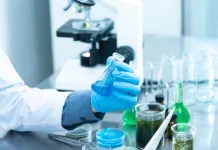 Ranking coloca 980 cientistas brasileiros entre melhores do mundo