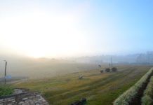 Inverno atípico deve impactar agricultura em SC