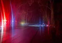 Homem morre após colidir carro contra árvore na SC-453