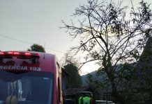 Mulher fica ferida após proteger o neto da queda de uma árvore em Macieira