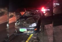 Cavalo solto provoca acidente na SC-350