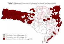 SC ultrapassa 80 mil casos de dengue em 2023; número de mortes chega a 84 SC ultrapassa 80 mil casos de dengue em 2023; número de mortes chega a 84