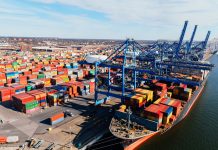 Japão suspende importação de aves de Santa Catarina