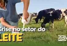 Crise no setor do leite – RBV AGRO – 19/08/2023