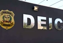 Furtos e roubos de veículos diminuem em Santa Catarina