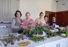 Projeto da Epagri premiado nacionalmente promove oficina em Rio das Antas