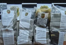 Polícia Civil prende dois homens em flagrante com 55 kg de maconha