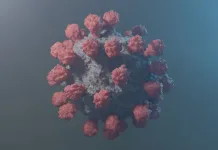 Brasil tem alta em testes positivos de Covid após desembarque da Éris