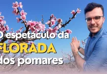 O espetáculo da florada dos pomares – RBV Agro – 05/08/23