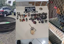 Polícia Civil e vigilância apreendem material suspeito de Rinhas de Galo em Videira