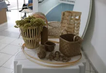 Projeto para mulheres vítimas de violência será lançado em Caçador