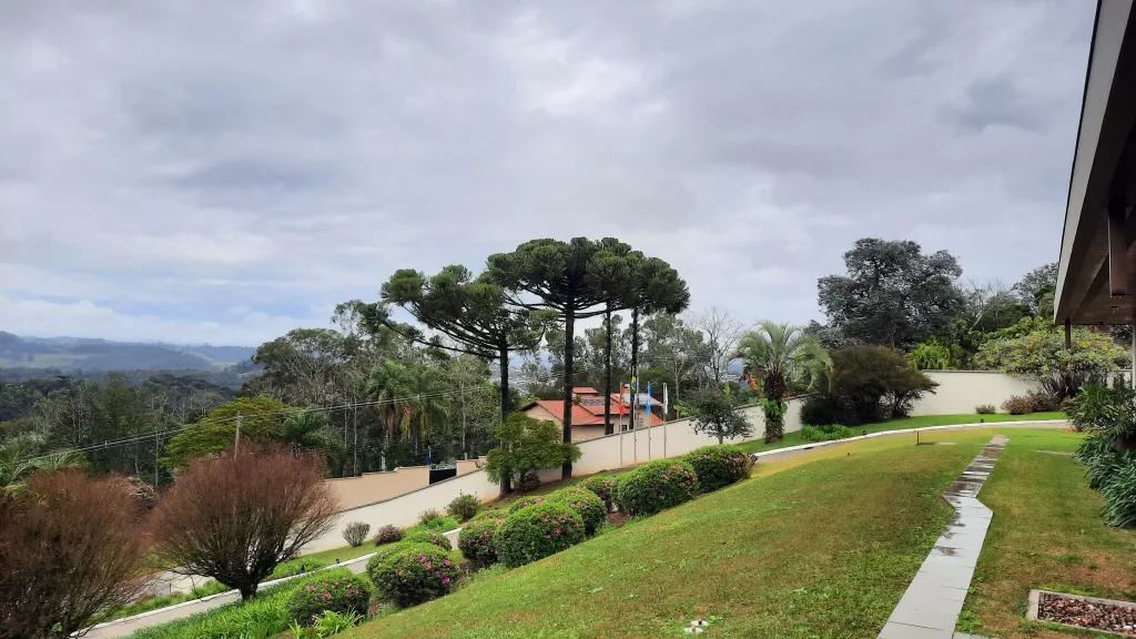 Videira no Meio-Oeste catarinense