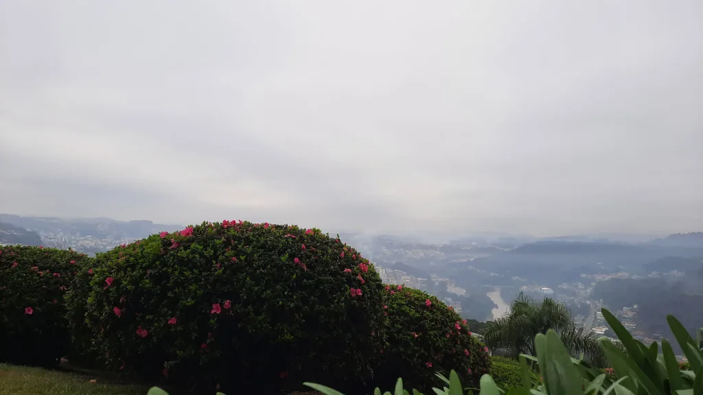Videira no Meio-Oeste catarinense encoberta por nuvens