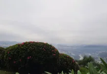 Santa Catarina terá tempo firme e domínio de sol