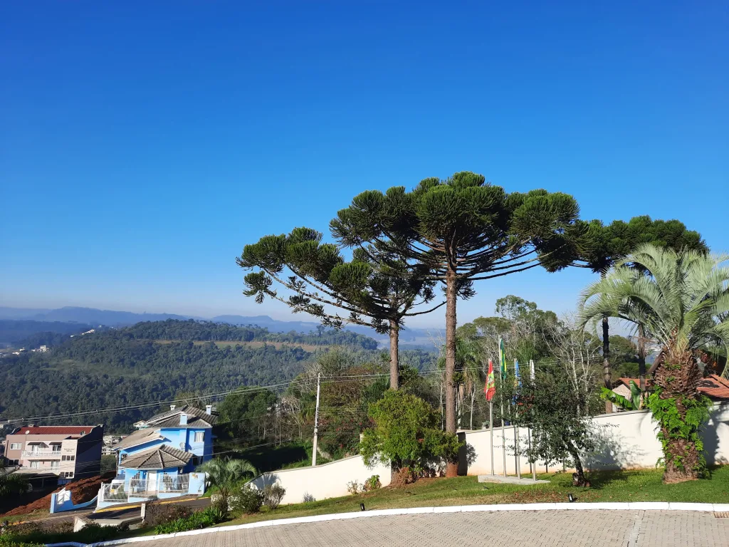 Vista de Videira no Vale do Rio do Peixe