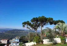 Sol deve marcar presença durante o dia em SC