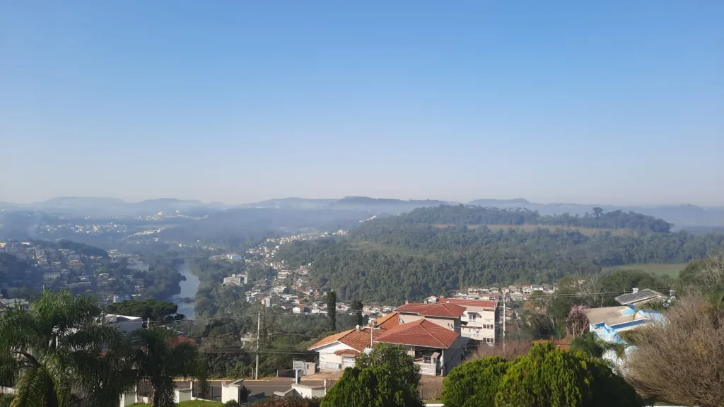 Videira no Meio-Oeste catarinense