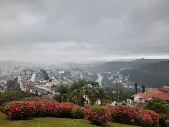 Videira no Meio-Oeste catarinense sob a influência da chuva