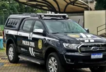 Maior autor de furtos de Videira é preso