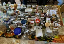 Acadêmicos participam de troca de sementes crioulas e flores