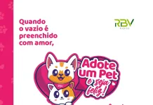 Adoção responsável de pets é tema de campanha