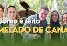 Como é feito o melado de cana – RBV Agro – 22/07/23