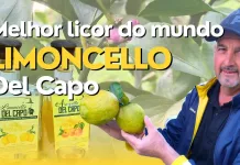 Limoncello – RBV Agro – 29/07/23