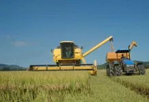 Valor da produção agrícola catarinense cresce 16,1% em 2022 