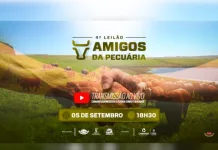 Leilão de reprodutores e matrizes acontece nesta terça