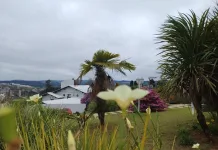 Junho se inicia com cenário de tempo estável e seco