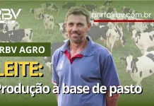 Produção de leite à base de pasto – RBV AGRO – 02/09/23