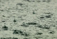 Primavera 2023 em SC terá chuva e temperatura acima da média