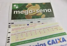 Duas apostas de SC levaram uma bolada na Mega-Sena