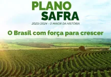Plano Safra 2023/2024 incentiva agro produtivo e sustentável
