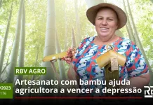 ARTESANATO COM BAMBU – RBV Agro Edição 176 – 21/10/2023
