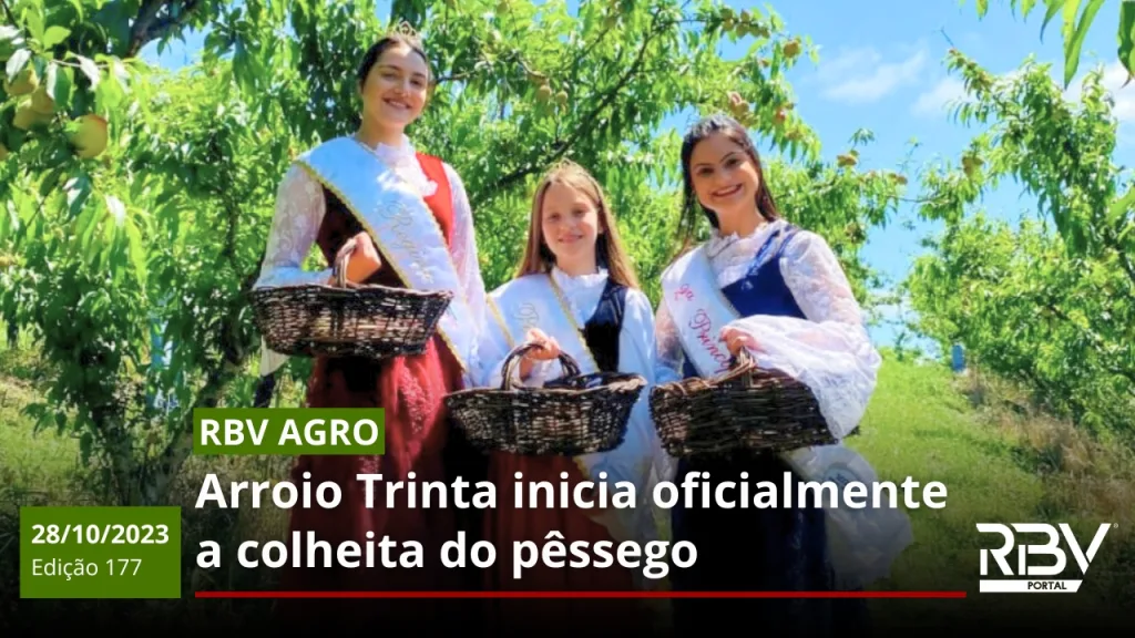 Colheita do Pêssego