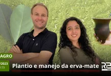 PLANTIO DE ERVA-MATE – RBV AGRO EDIÇÃO 173 – 30/09/2023