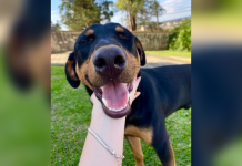 RBV Notícias – 16/10/2023 – Edição 883