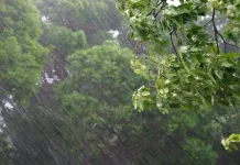 Santa Catarina entra em alerta amarelo por chuvas intensas