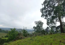 Temporal deixa cinco mil unidades consumidoras sem energia na região